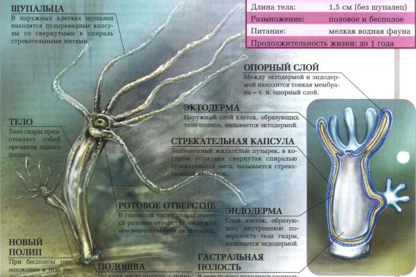 Кракен зеркала официальные