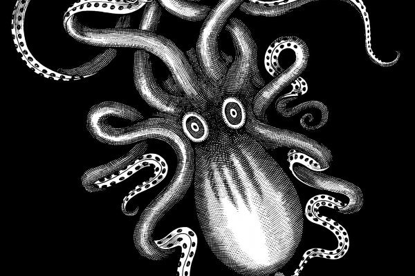 Kraken 23at