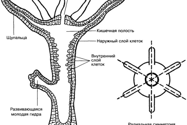 Доступ кракен