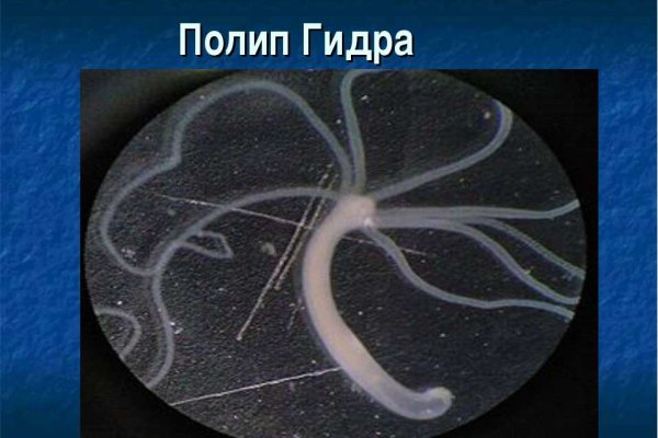Какая сейчас ссылка на кракен