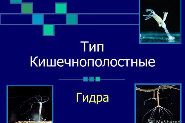 Рабочий сайт kraken