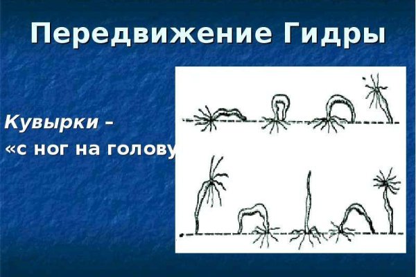 Кракен что это магазин