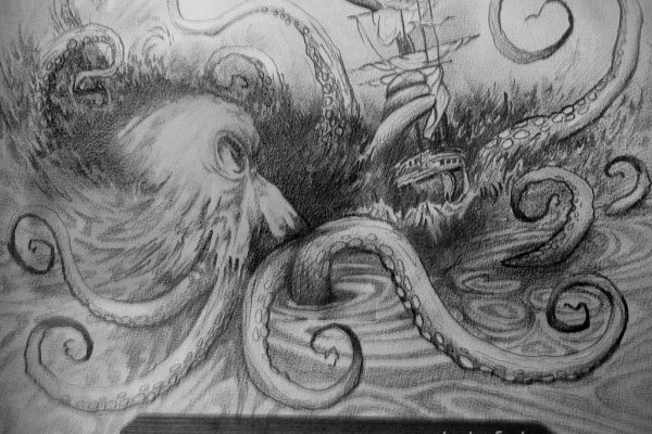 Kraken20 at